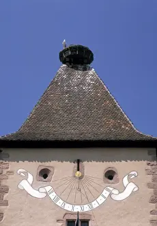 Nest Prints: Stork Nest Turckheim Alsace