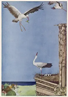 Storks Prints: The Storks