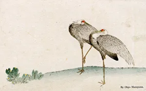 Images Dated 31st May 2018: Two Storks resting by Maruyama Okyo