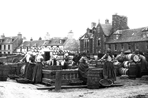 Lewis Prints: Stornoway Isle of Lewis Gutting Herring early 1900s