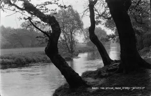 The Stour River Near Iford