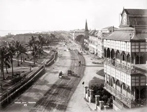 Palms Collection: Strand Road, Rangoon, Yangon, Burma, Myanmar