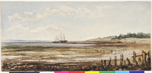 Images Dated 3rd February 2011: Strandtown Beach