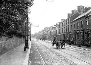 Strandtown, Belfast