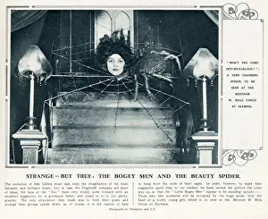 Images Dated 11th March 2020: Strange - But True - The Bogey Men and the Beauty Spider