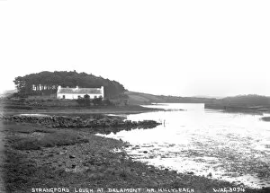 Thatched Collection: Strangford Lough at Delamont Nr. Killyleagh