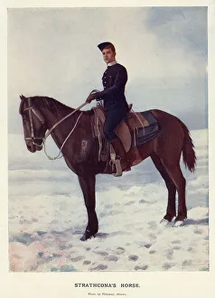 Strathcona's Horse Regiment, Royal Canadians