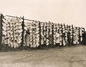 Hundreds Prints: Straw Hats Drying