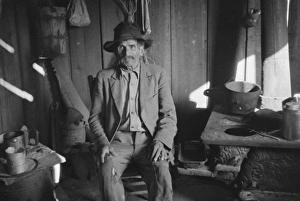 Hammond Collection: Strawberry picker, Hammond, Louisiana