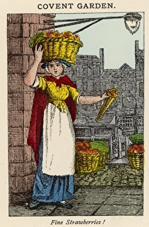 Strawberry Seller
