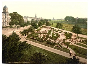 Stray Gallery: The Stray, Harrogate, England