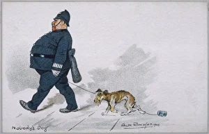 Stray Gallery: Stray Taken in Custody