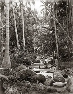 Images Dated 14th October 2015: Stream and bathers, probably Ceylon (Sri Lanka), circa 1880s