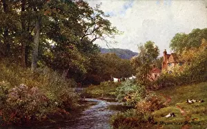 Guildford Prints: A Stream, Shalford, Surrey