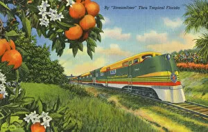 Aerodynamic Gallery: Streamliner Train passing through Florida Orange groves