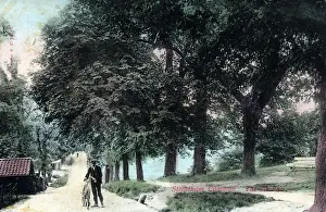 Streatham Common, London - The Avenue