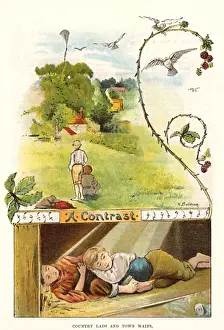 Kite Prints: Street Arabs, & Country
