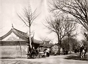 Street corne, r pony and trap likely Shangahi, China, c. 1890 s