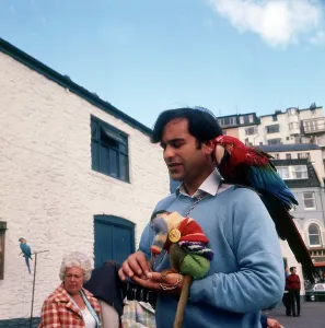 Puppet Prints: Street entertainer with Macaw and Puppet, Brixham, Devon