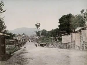 Street in the Japnese town of Nara