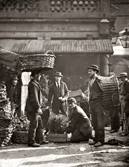Street Life in London, 1878, Covent Garden labourers