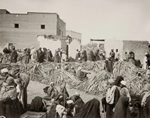 Street market, Egypt, sellng sugar cane?
