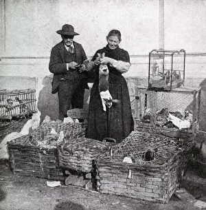 Alpes Gallery: Street market scene in Nice, Alpes-Maritimes, France