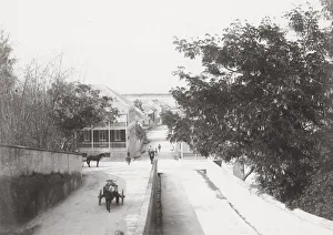 Street is Nassau, Bahamas