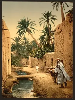 Biskra Prints: Street in the old town, I, Biskra, Algeria