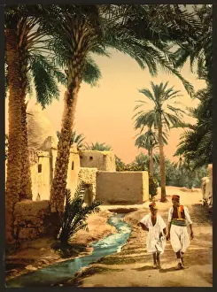 Biskra Prints: Street in the old town, II, Biskra, Algeria