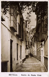 Street in the Santa Cruz district, Seville, Spain