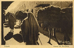 Street scene in Ain Zara, Tripoli, Libya