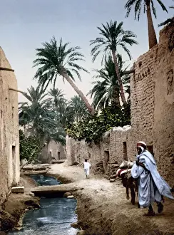 Algeria Prints: Street scene in Biskra, Algeria, circa 1890s