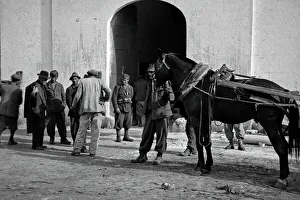 Harness Gallery: Street scene in Brindisi, Italy