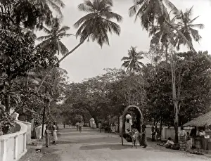 Street scene, Ceylon, Sri Lanka, circa 1890