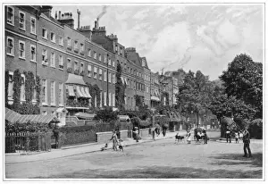 Street Scene / Cheyne Walk