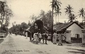 Rickshaw Collection: Street scene, Colpetty, Colombo, Ceylon (Sri Lanka)