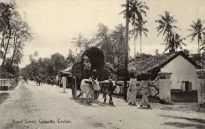 Rickshaws Prints: Street scene, Colpetty, Colombo, Ceylon (Sri Lanka)