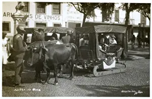 Street scene in Funchal, Madeira