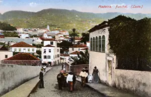 Street scene in Funchal, Madeira