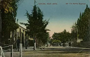 Jaffa Prints: Street scene, Sarona, near Jaffa, Israel