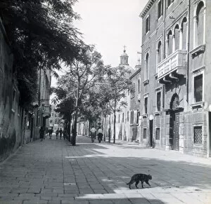 Venetian Collection: Street scene, Venice, Italy