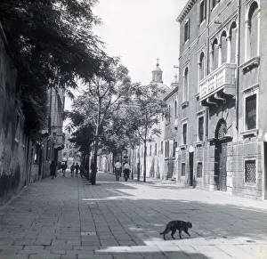 Street scene, Venice, Italy