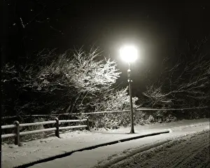 Lamplight Prints: Street snow scene at night. Iflord