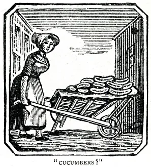 Images Dated 1st November 2019: Street trade - cucumbers