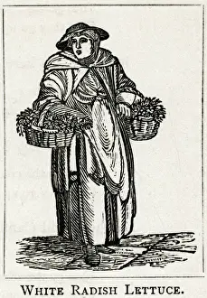 Onions Prints: Street trade - white radish hard lettuce and onions