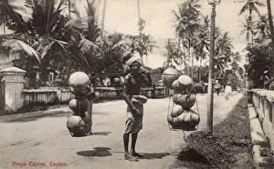 Vegetable Vendor
