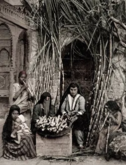Street vendor of sugar cane, Cairo, Egypt