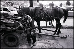 Images Dated 3rd September 2015: Street worker and horse Cairo, Egypt. Date: 1980s