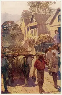 Streets of Bendigo, Australia, during the Gold Rush